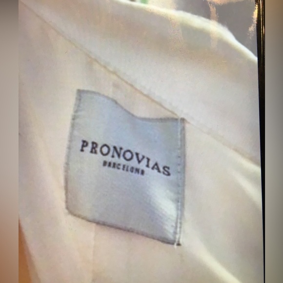 Pronovias Designer Wedding Dress - Picture 4 of 8